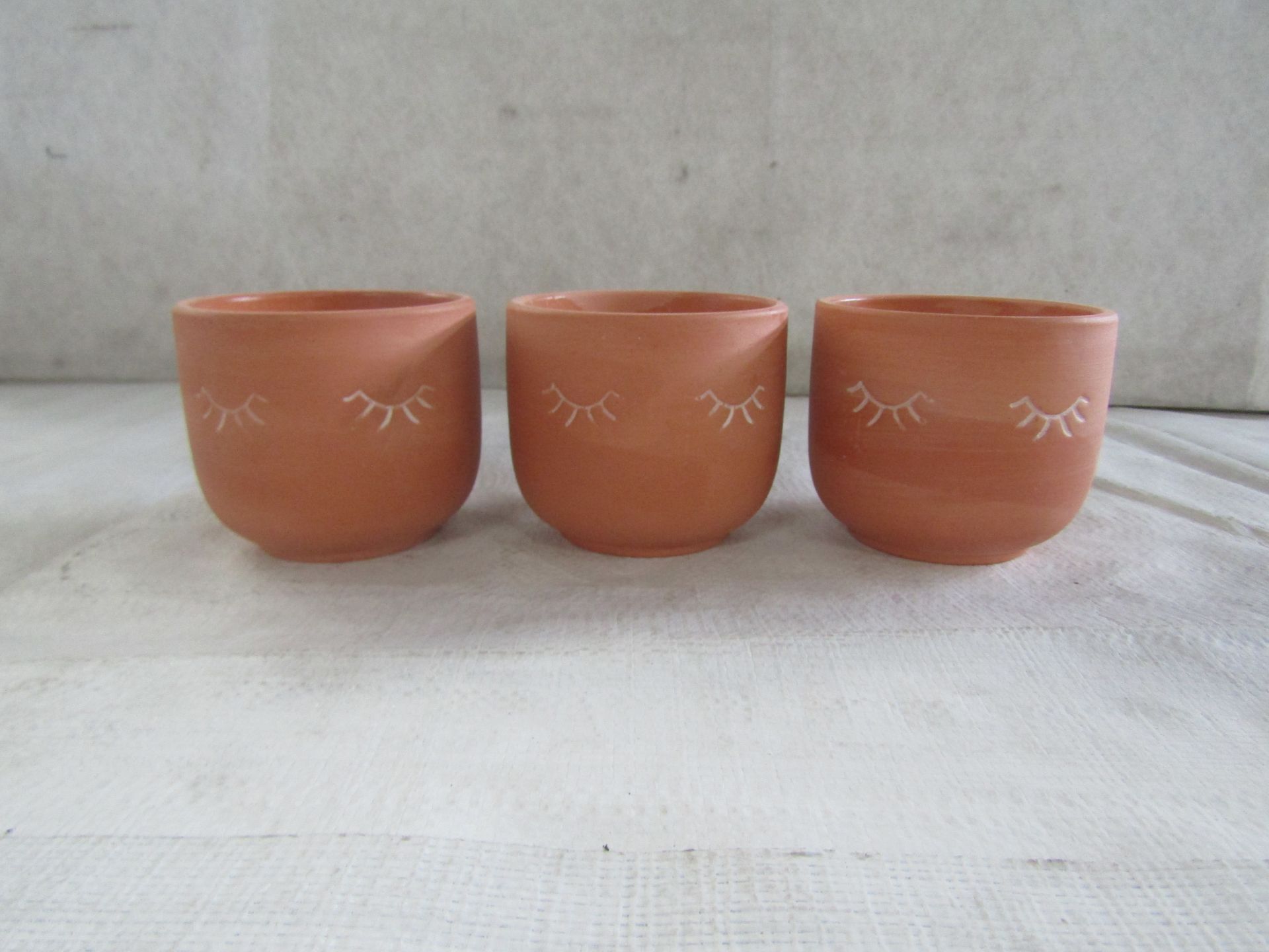 Sass & Belle - Set of 3 Terracotta Mini Eyes Shut Planters - New.