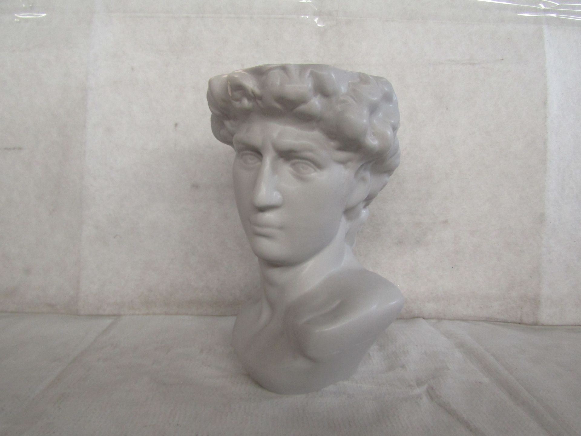 Sass & Belle - Large Greek Head Planter - Unchecked & Boxed.