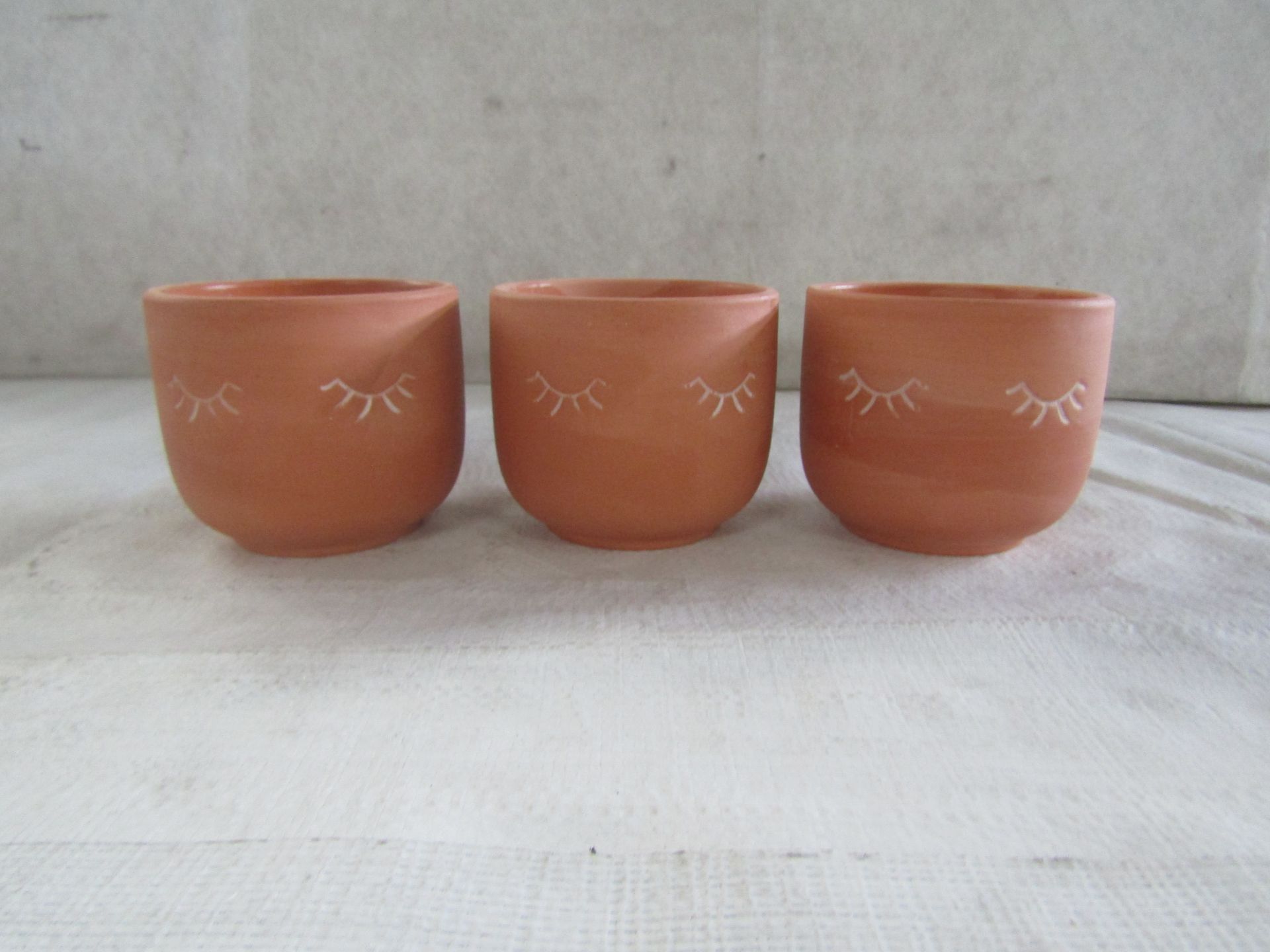 Sass & Belle - Set of 3 Terracotta Mini Eyes Shut Planters - New.