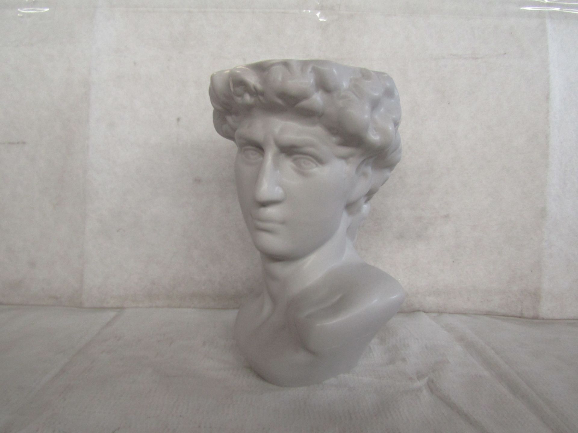 Sass & Belle - Large Greek Head Planter - Unchecked & Boxed.