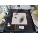 Club Matters Set Of 4 Square Table Mats 24 X 24cm Club Matters Guinea Fowl RRP 68About the Product(