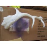 White Deer Antlers - Single Size Vary between W51cm and W41cm - New. (157)