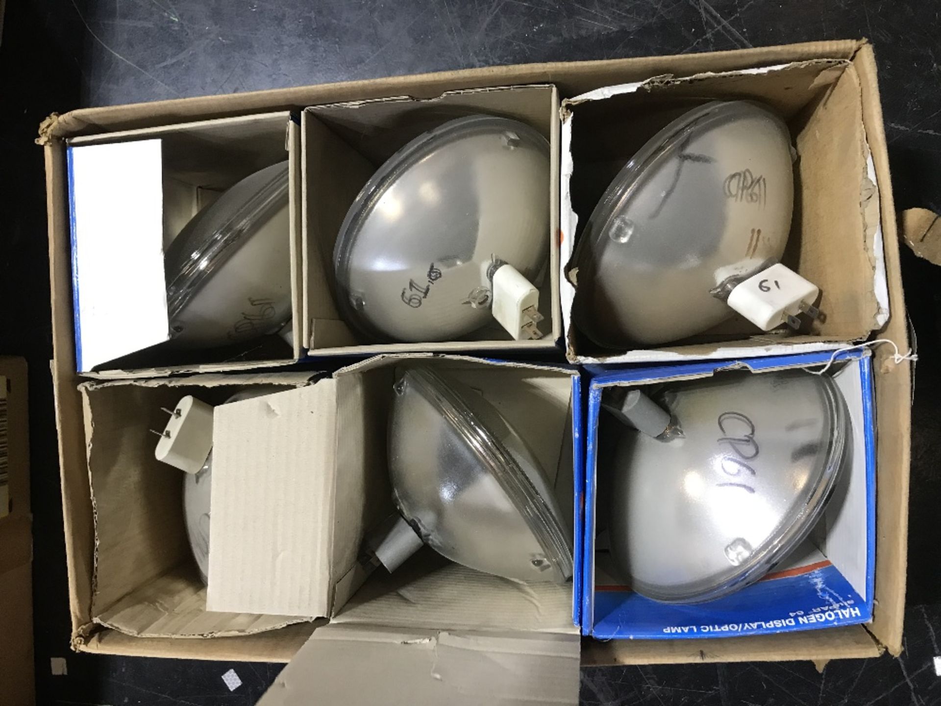 (6) Various Halogen Display Lamps