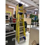 (4) Industrial Ladders