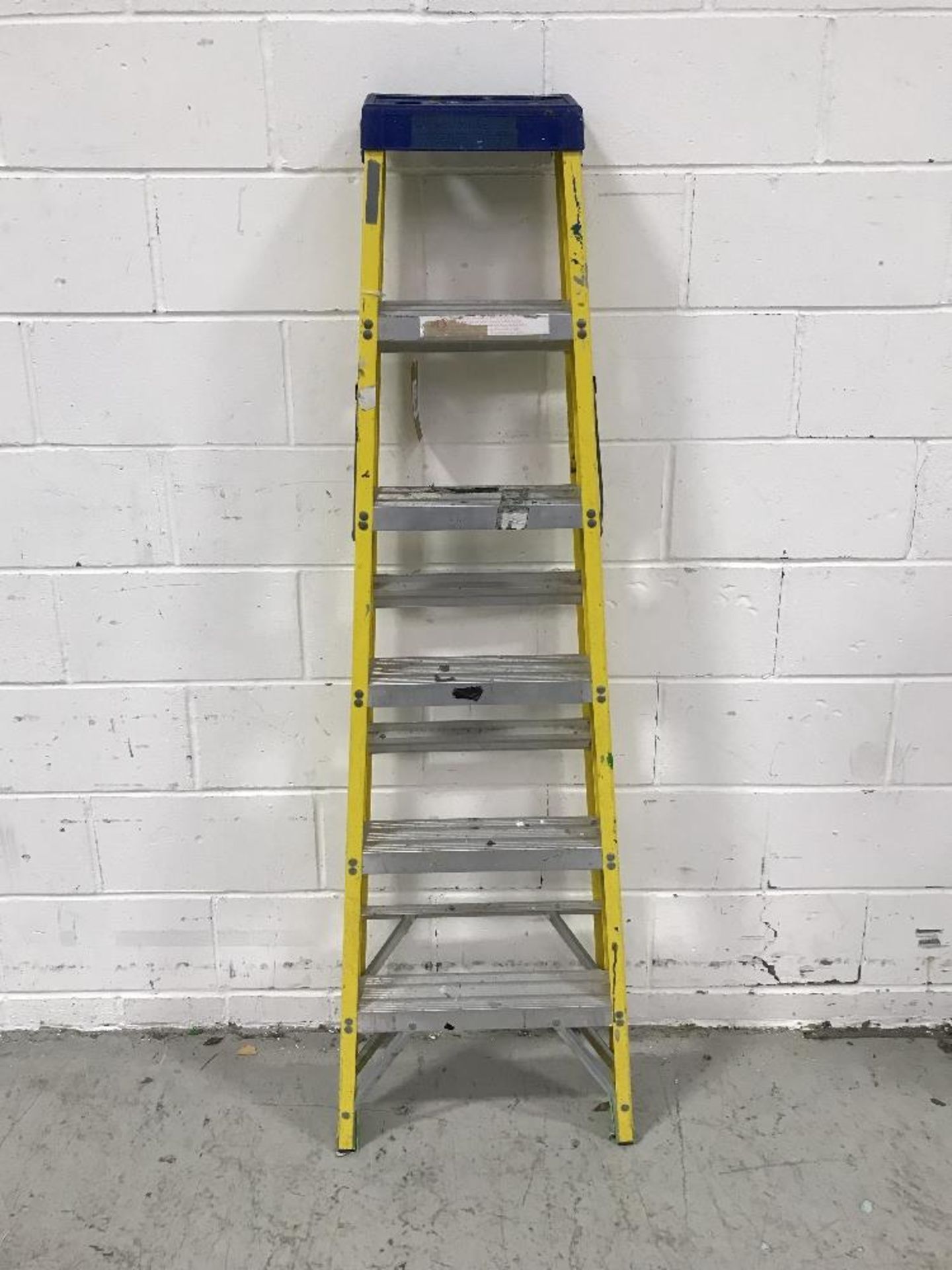 Werner 6 Rung Fiberglass Stepladder