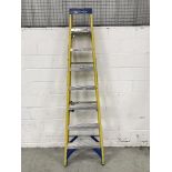 Werner 8 Rung Stepladder