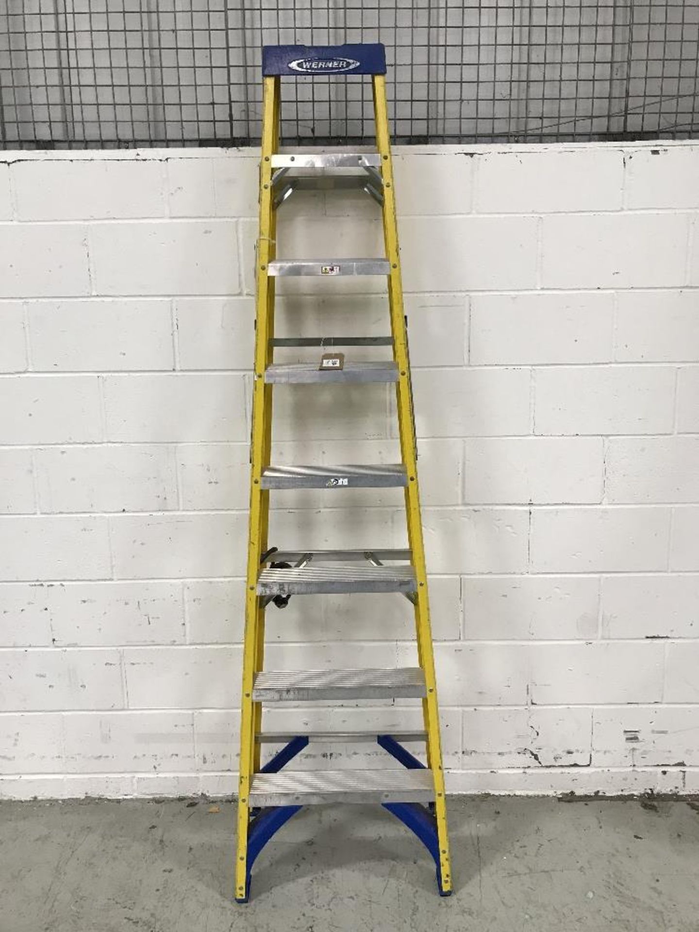 Werner 8 Rung Stepladder