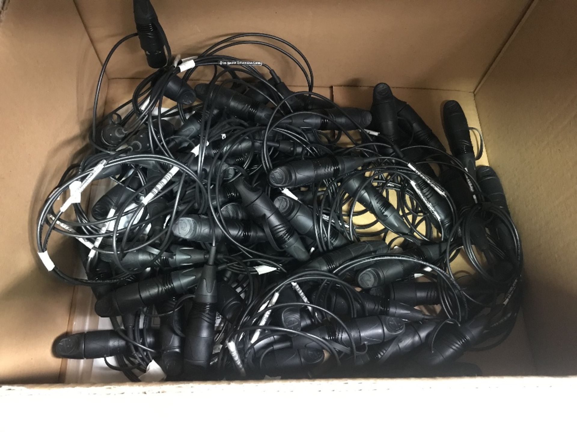 Quantity of Neutrik 1m Opticon Duo Cables
