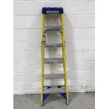 Werner 6 Rung Fiberglass Stepladder