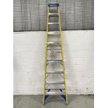 Werner 10 Rung Stepladder