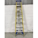 Werner 8 Rung Stepladder