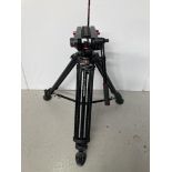 Manfrotto 504HD Tripod Head and 546B Tripod with Carbon Fibre Legs with Manfrotto Carry Case