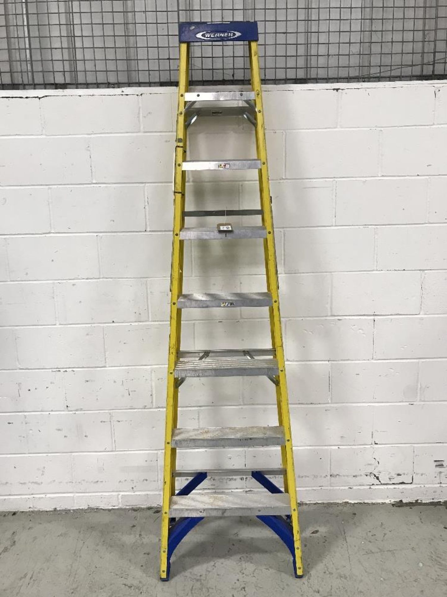 Werner 8 Rung Stepladder