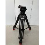 Sachtler 20P Fluid Tripod Head with Extendable Carbon Fibre Legs