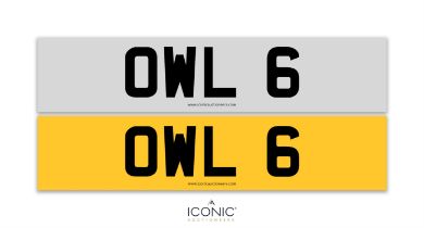 Registration Number OWL 6