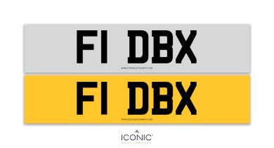 Registration Number F1 DBX