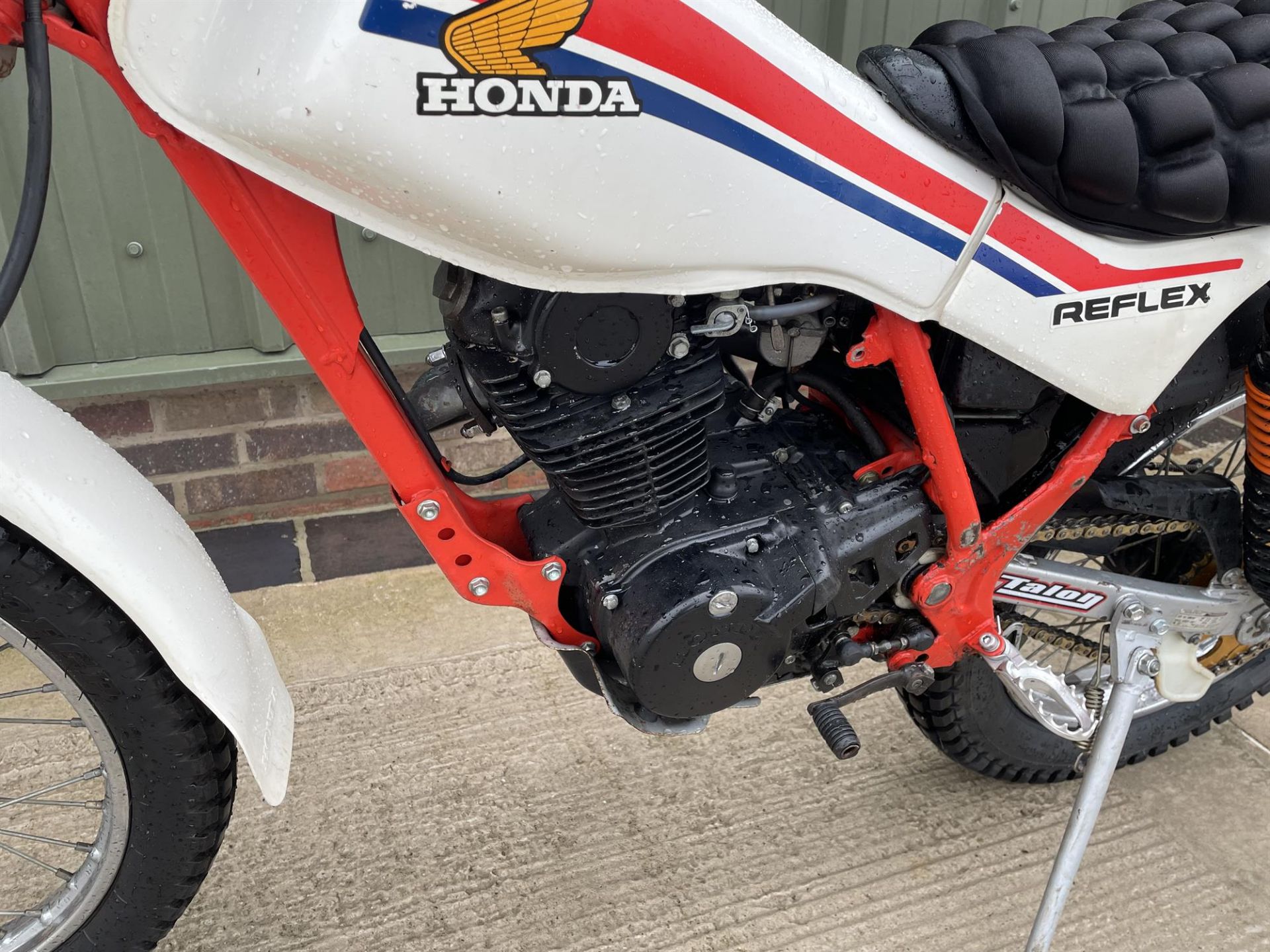 1986 Honda TLR 200 Reflex 194cc - Image 4 of 10