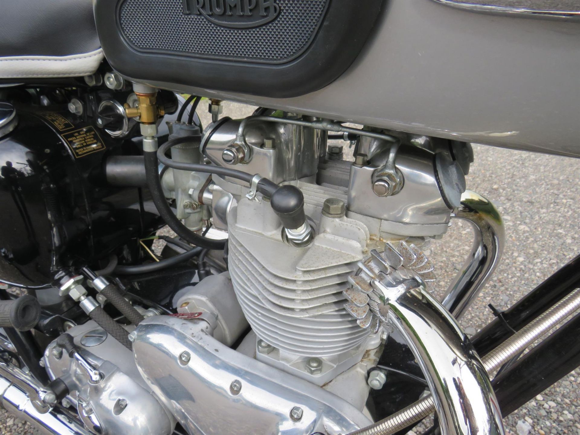 1962 Triumph TR6SS Trophy 649cc - Image 10 of 10