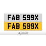 Registration Number FAB 599X