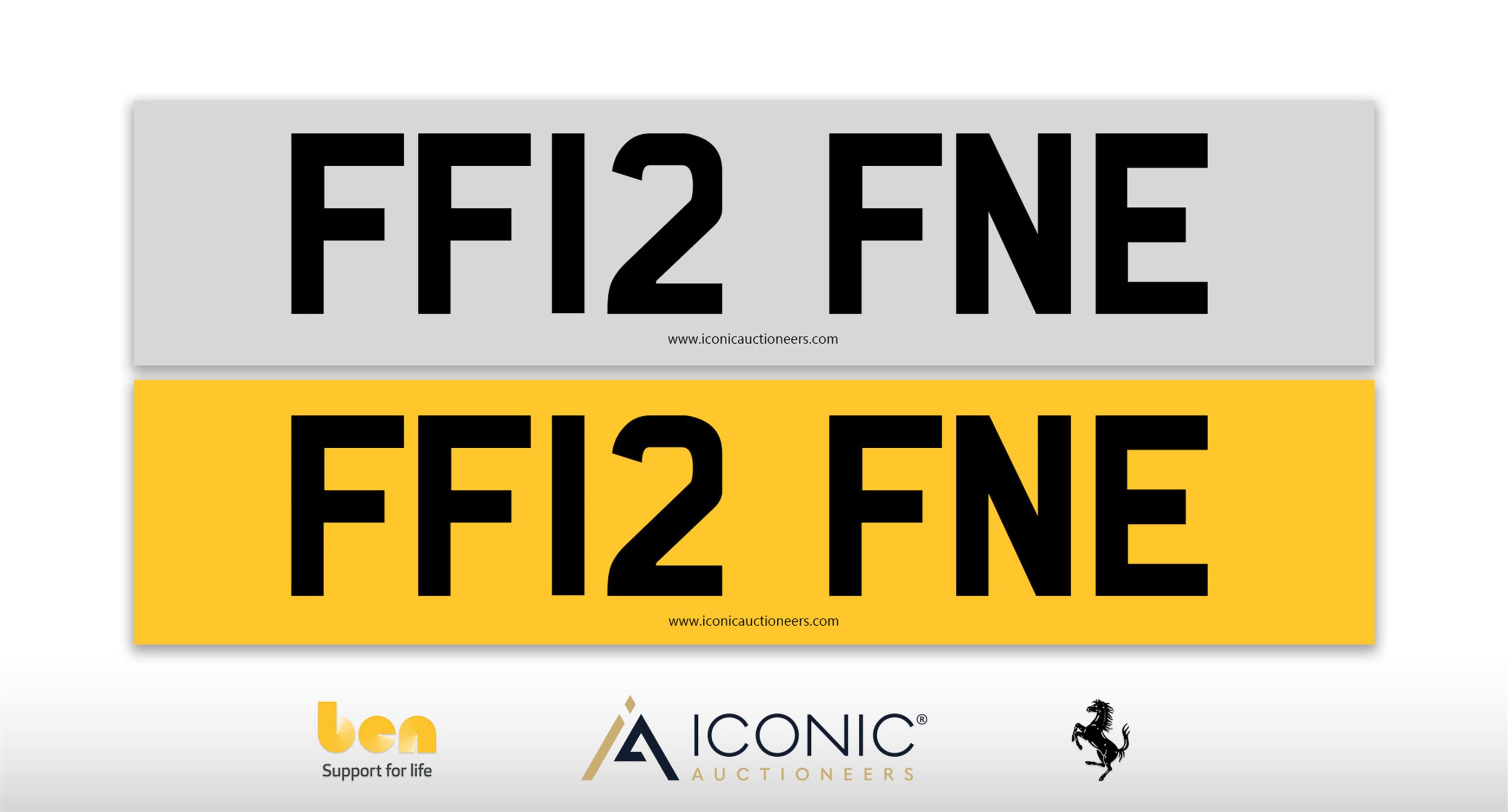 Registration Number FF12 FNE