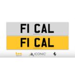 Registration Number F1 CAL