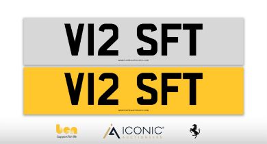 Registration Number V12 SFT
