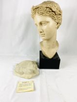 Resin bust and a cast marble head
