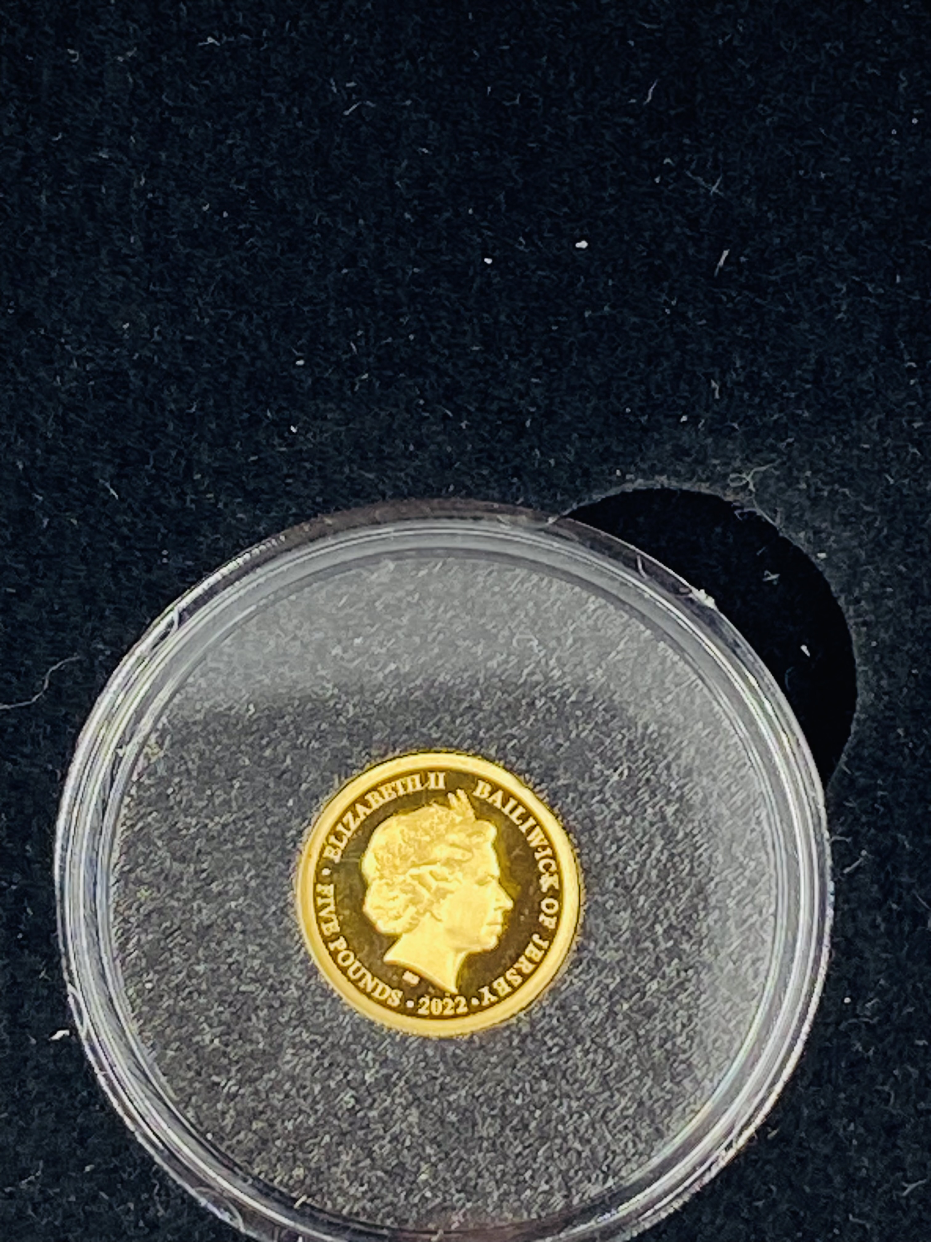 Platinum Jubilee half gram gold £5 coin, in box with Certificate of Authenticity. - Image 3 of 3