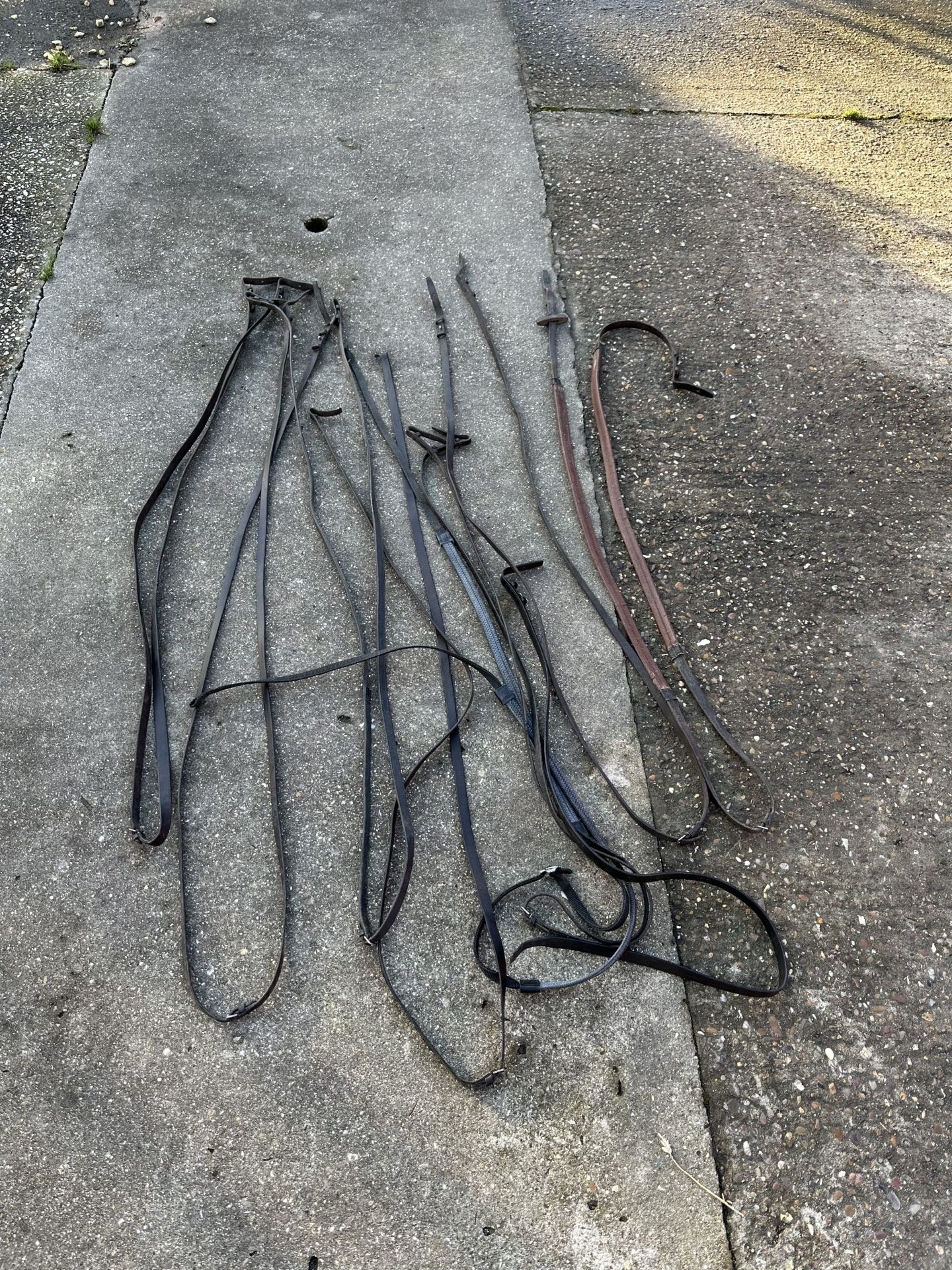 Quantity of bridles, bridle parts and reins - Image 2 of 2