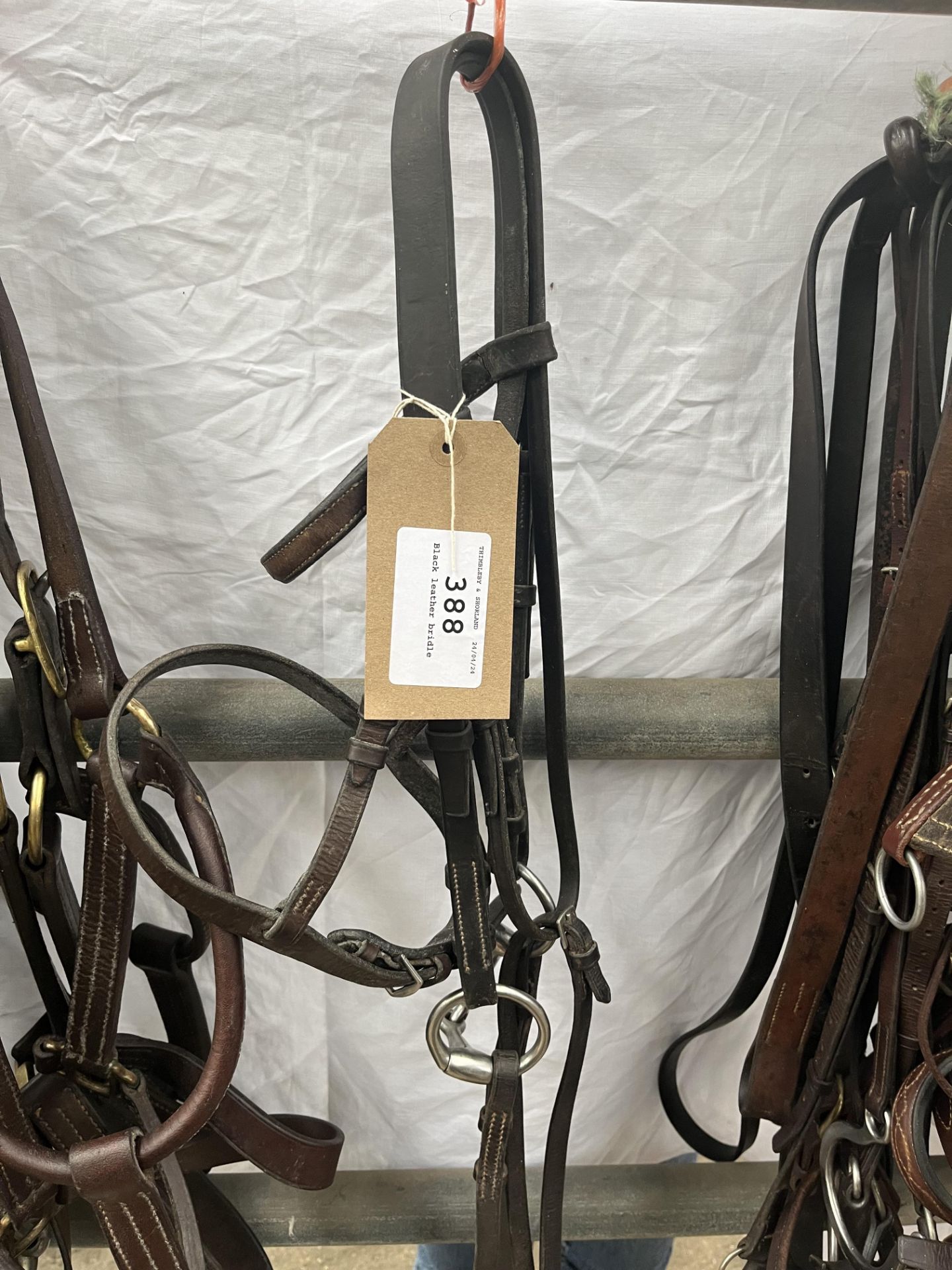 Black leather bridle