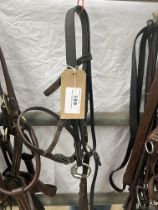 Black leather bridle