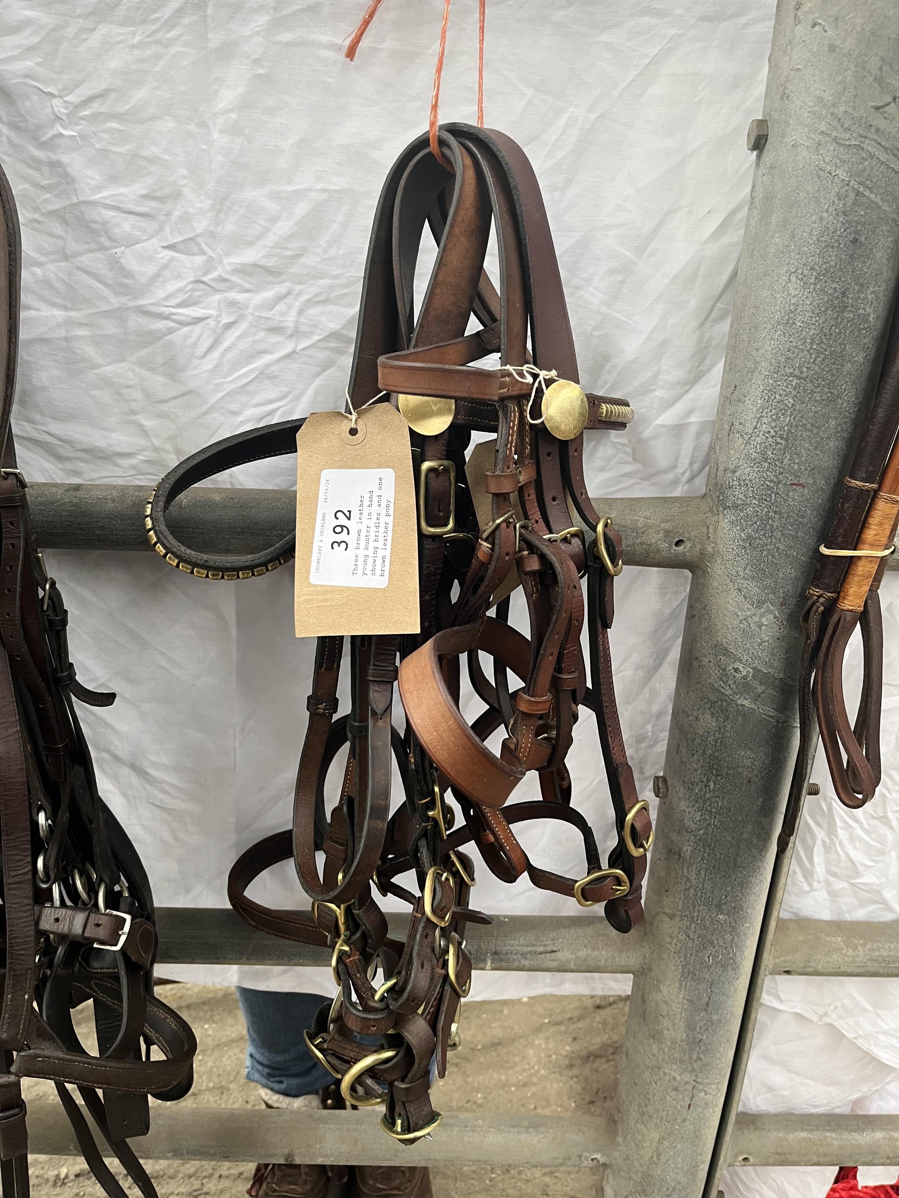 Three brown leather young hunter in-hand showing bridles and one brown leather pony working bridle