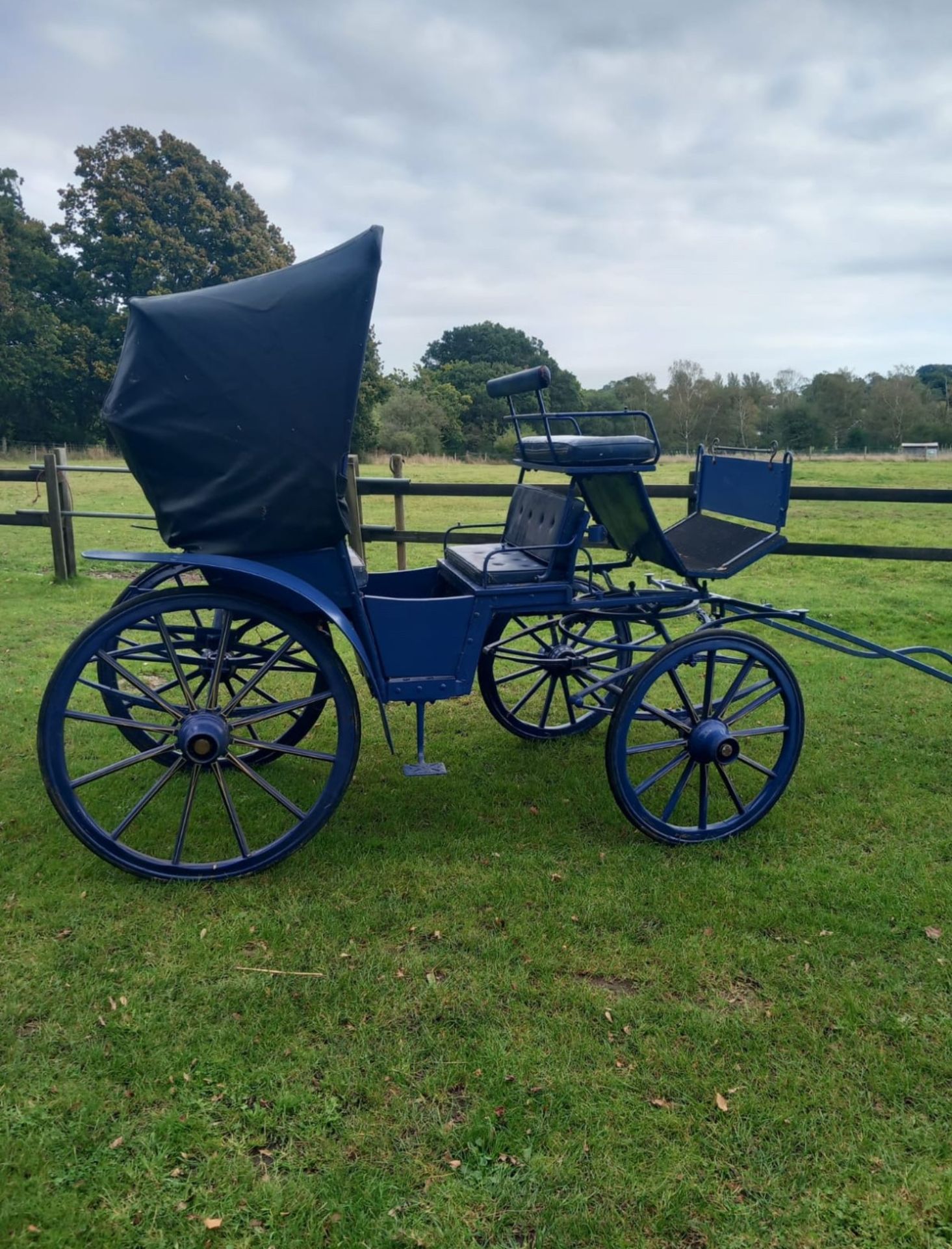 VIS-A-VIS to suit 15hh single or pair, painted blue with black hood and buttoned black vinyl seating