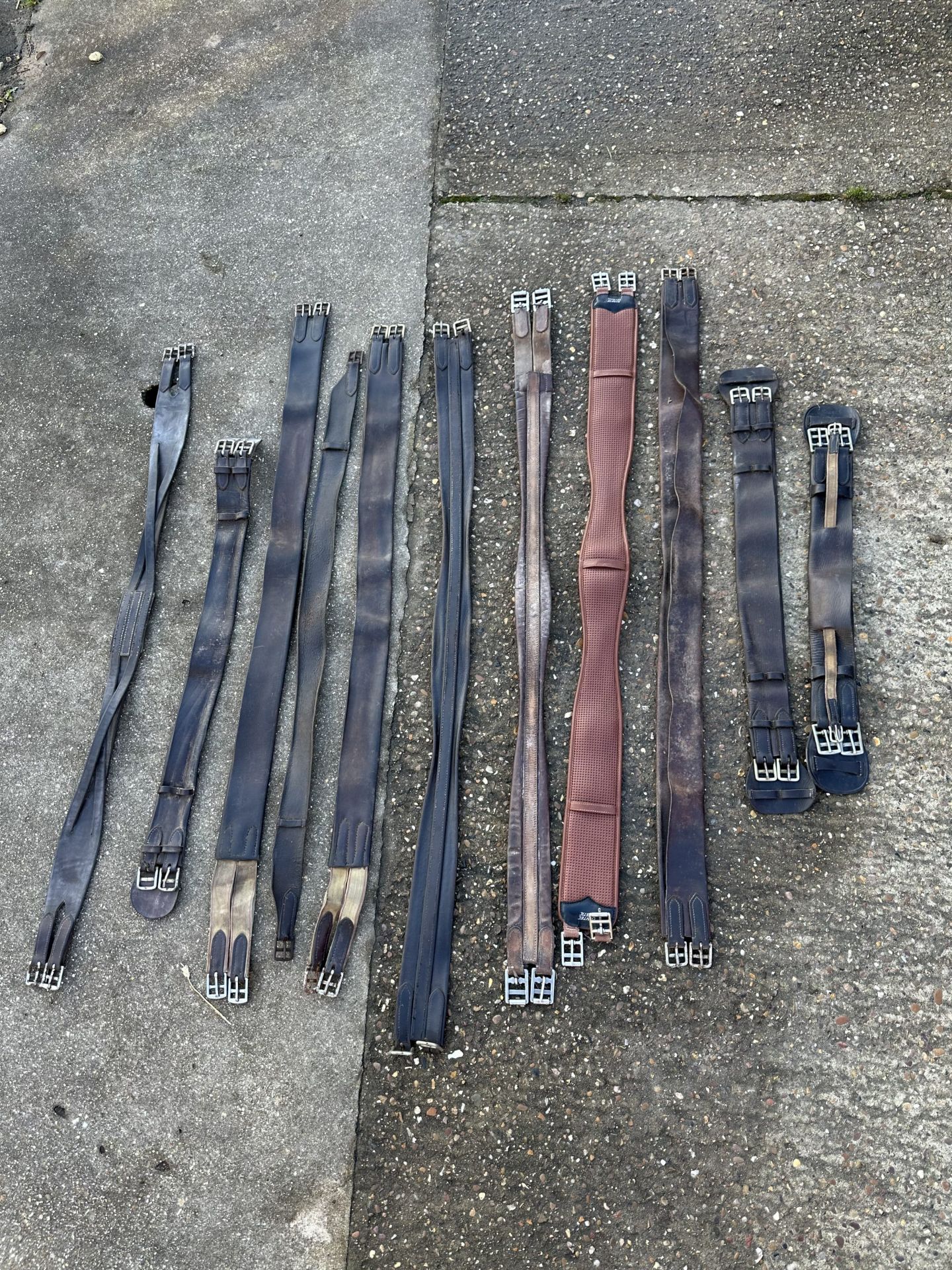 Quantity of various girths and leather surcingles - Bild 2 aus 2