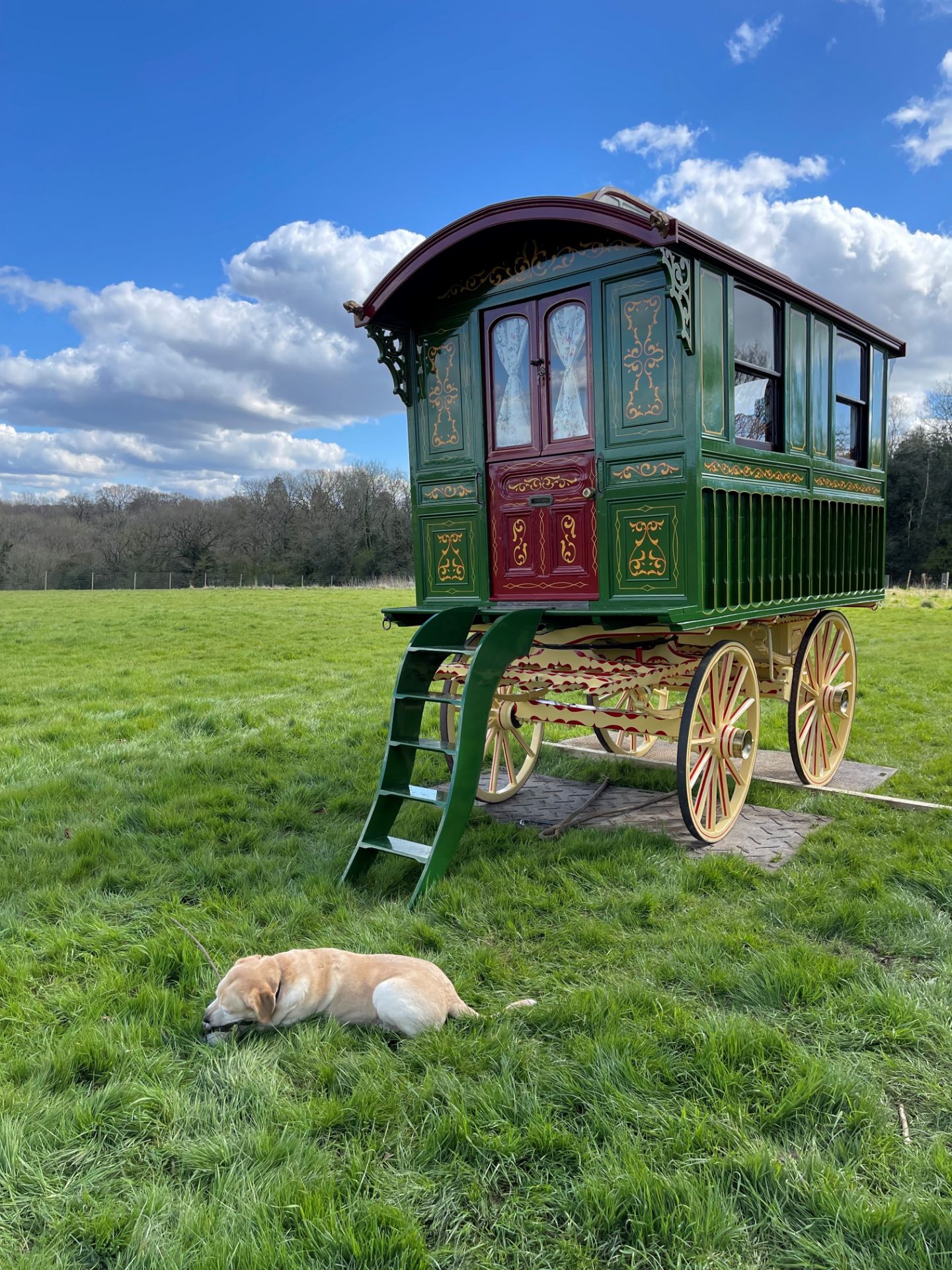 BURTON SHOWMAN'S WAGON finished in a traditional bottle green colour with a burgundy door.
