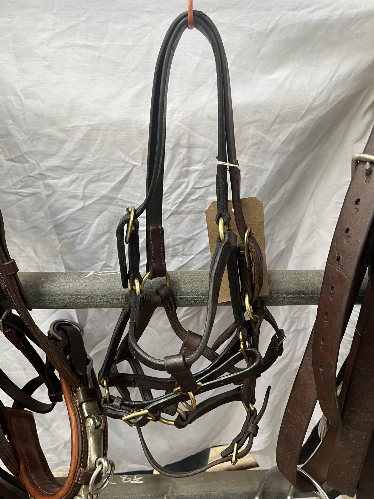 Two leather foal slips