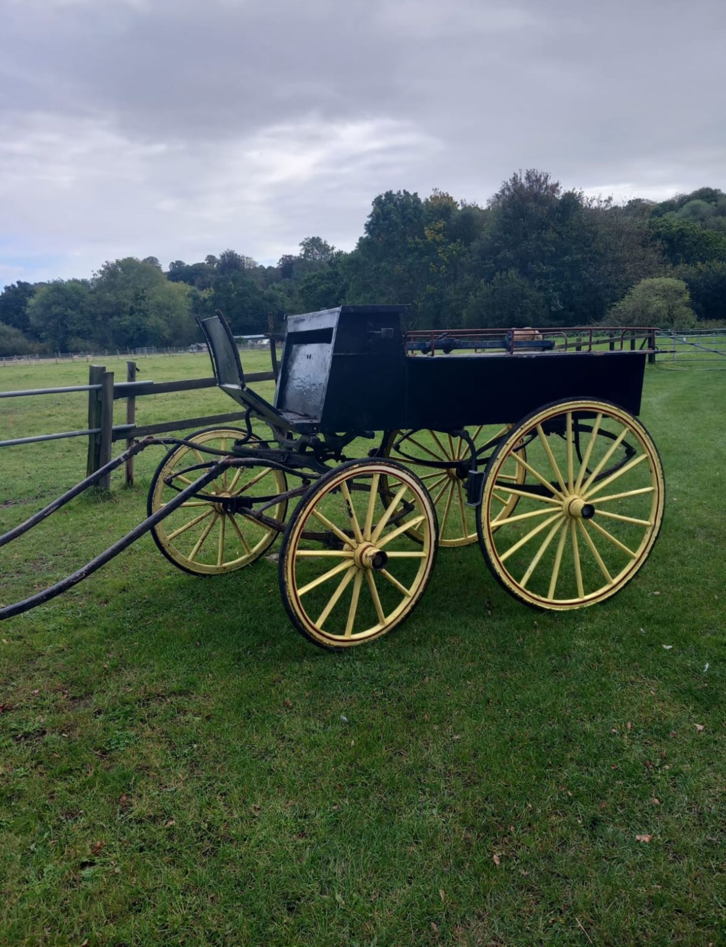 WAGONETTE to suit 15hh single or pair.