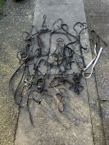 Quantity of bridles, bridle parts and reins