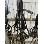 English leather full size double bridle and another full size bridle