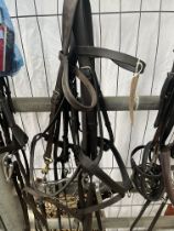 English leather full size double bridle and another full size bridle