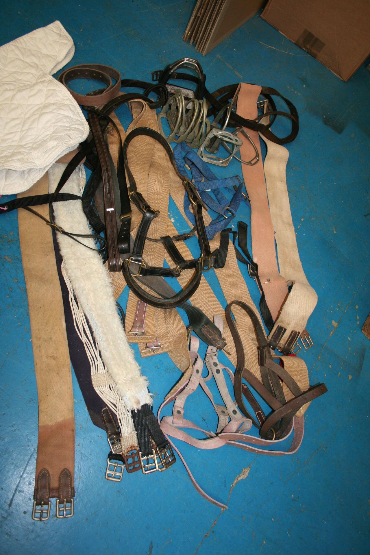 Quantity of saddle sundries including girths, stirrups and leathers