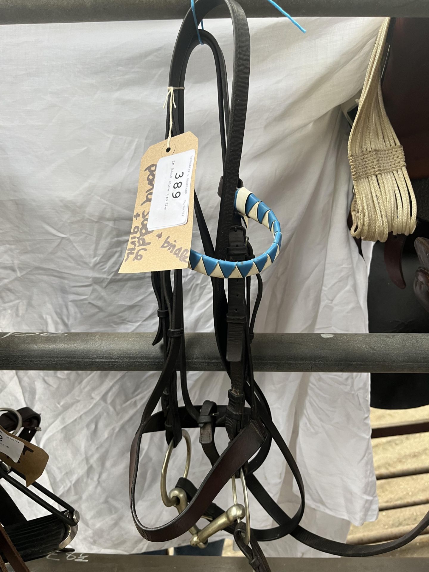 In hand show bridle