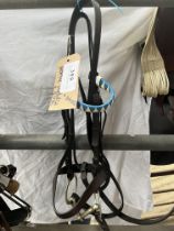 In hand show bridle