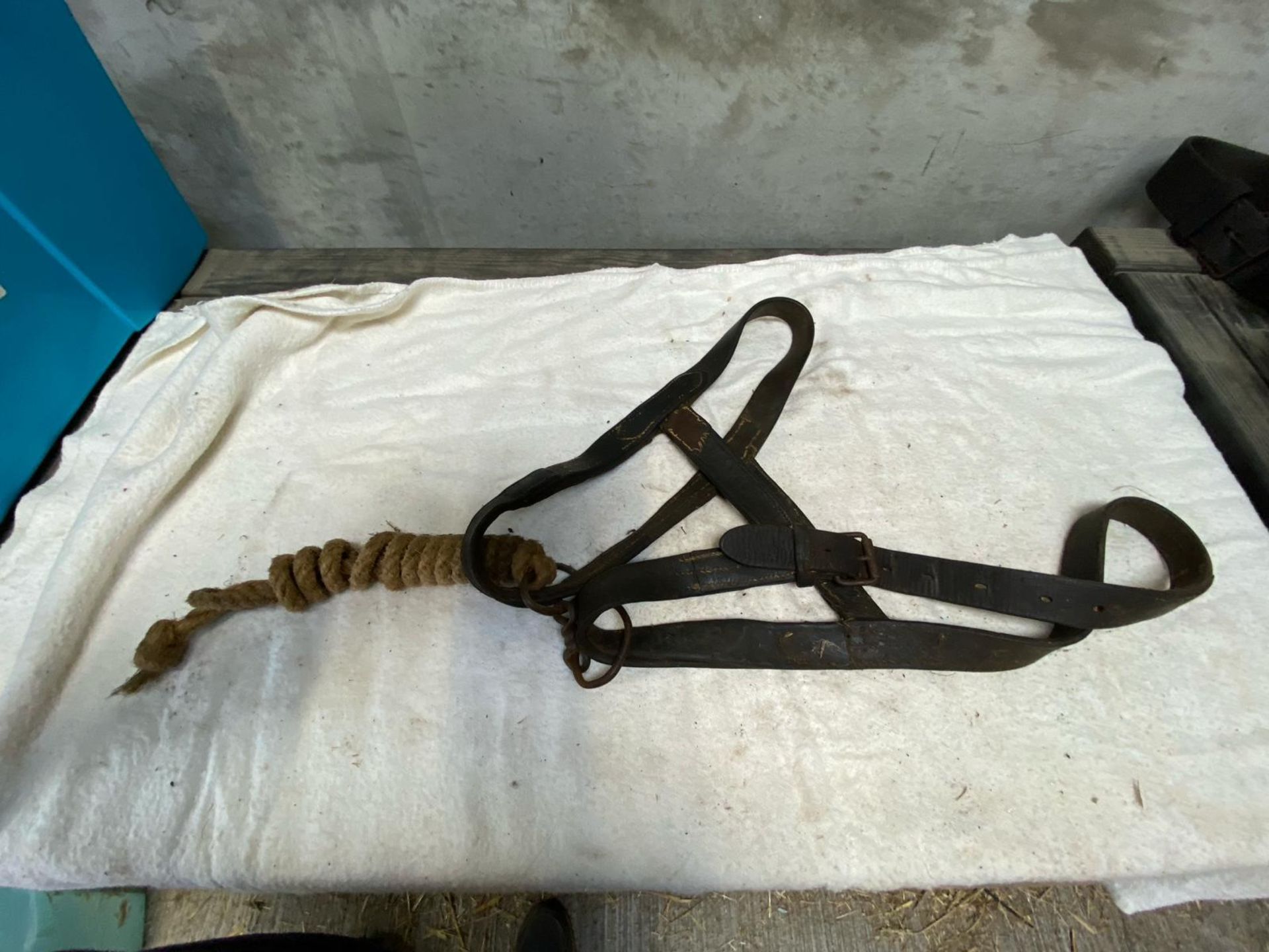 Two bridles to fit a heavy horse both in black leather one with bunkers, one without. - Image 3 of 3