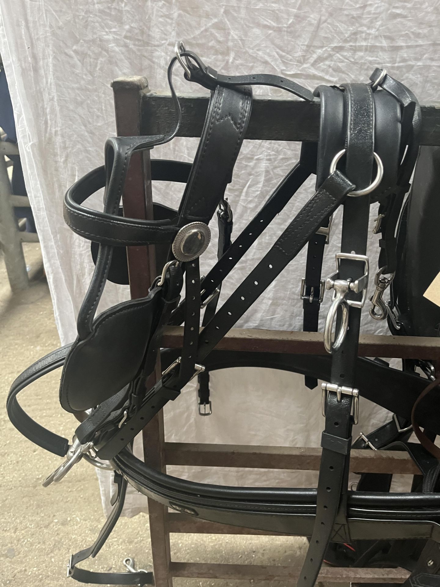 Full size classic Zilco pairs harness, complete set with harness bag - Bild 4 aus 5