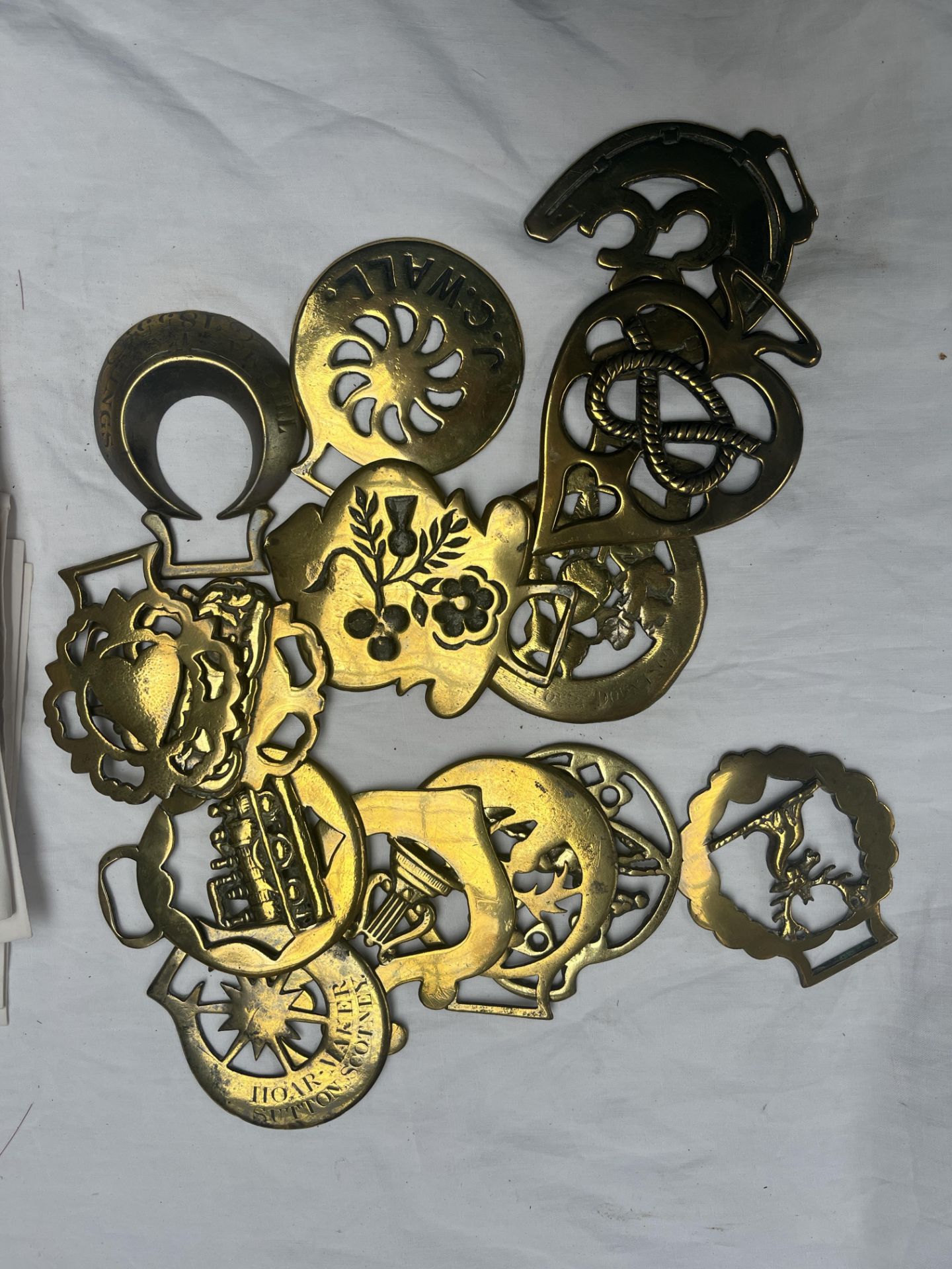 Collection of 14 antique horse brasses - Image 4 of 5