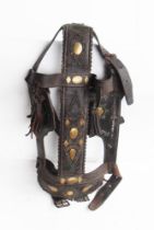 Spanish mule bridle with brass decoration and leather tassels