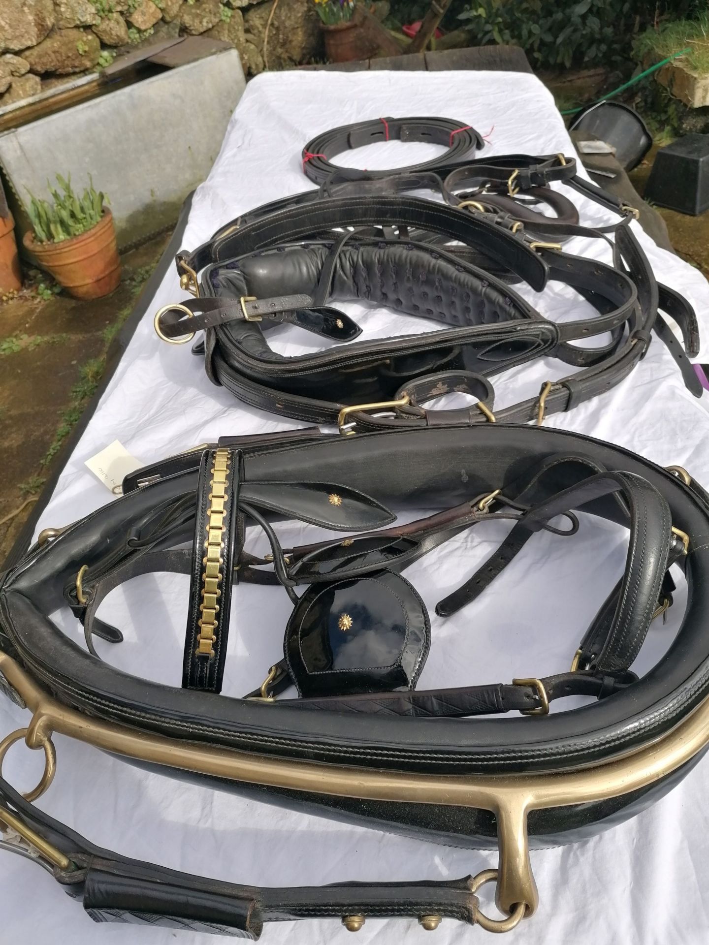 Private driving harness, full size patent and black leather with brass fittings and a 23" collar