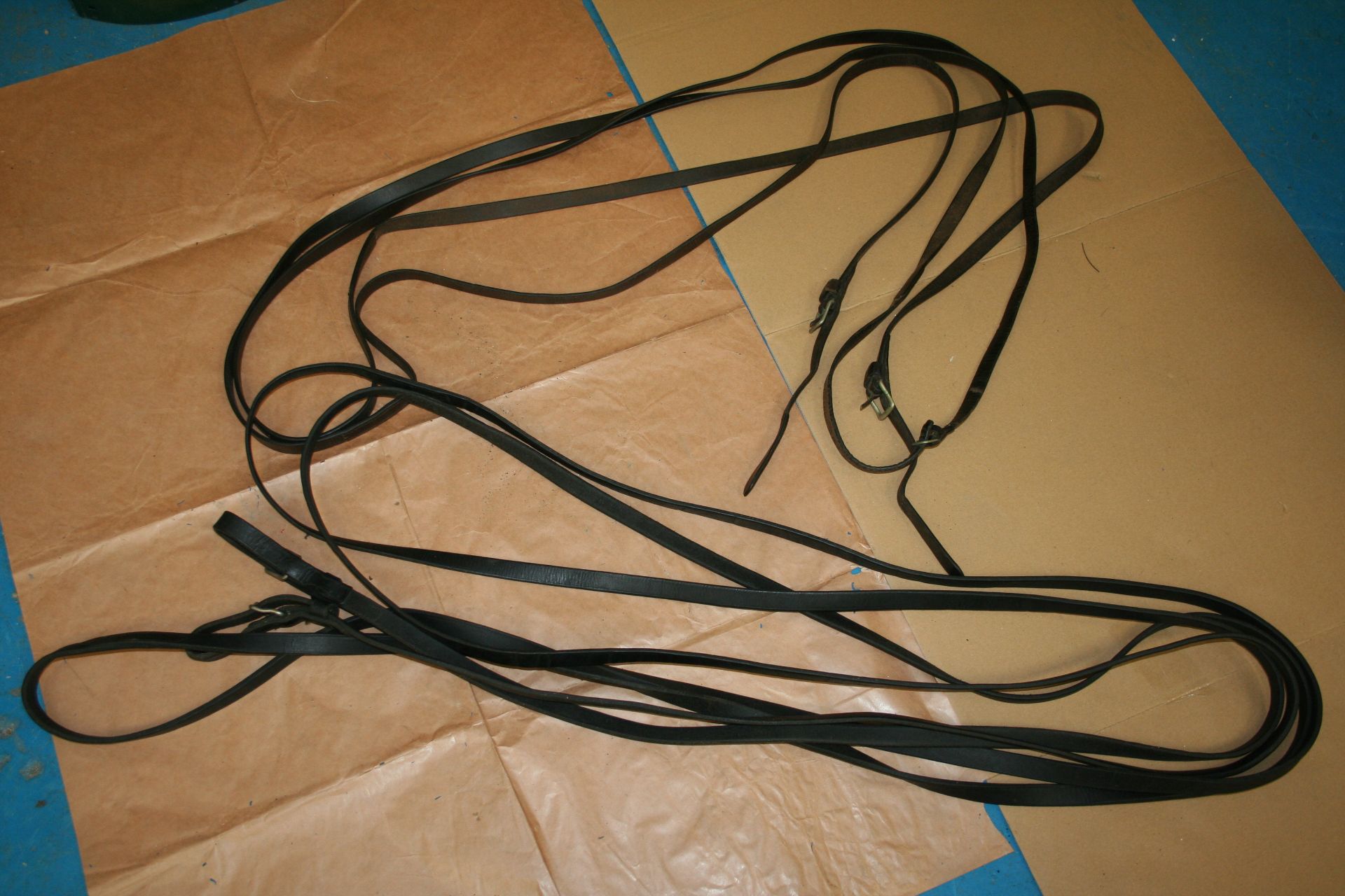 Two pairs of driving reins