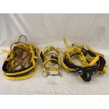 Black and yellow webbing pony harness